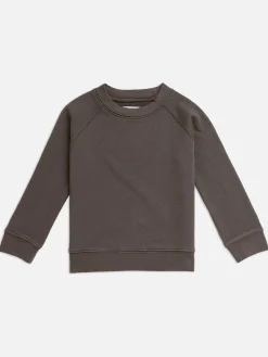 Mini Organic Terry Raglan Sweatshirt